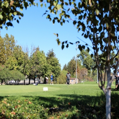 Fake Grass Carpet Garden Grove, California Landscaping Business