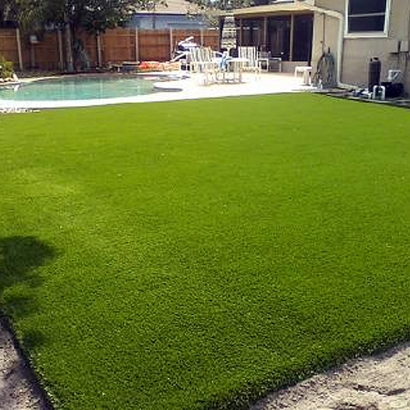 Fake Grass Carpet Hawthorne, California Landscaping Business, Backyard Ideas