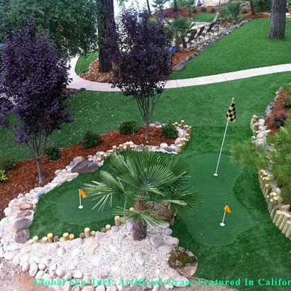 Fake Grass Carpet Long Beach, California Landscape Photos, Beautiful Backyards