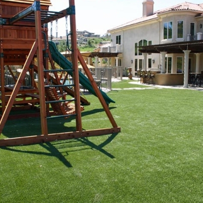 Fake Grass Carpet Pasadena, California Design Ideas, Backyard Design