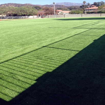 Fake Grass Carpet Sun City, California Backyard Playground