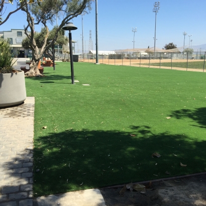 Fake Grass Carpet Universal City, California City Landscape, Parks