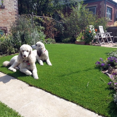 Fake Grass North Hollywood, California Backyard Playground, Front Yard Landscaping