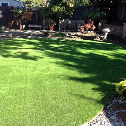 Fake Lawn Buena Park, California Pet Paradise, Backyard Landscaping