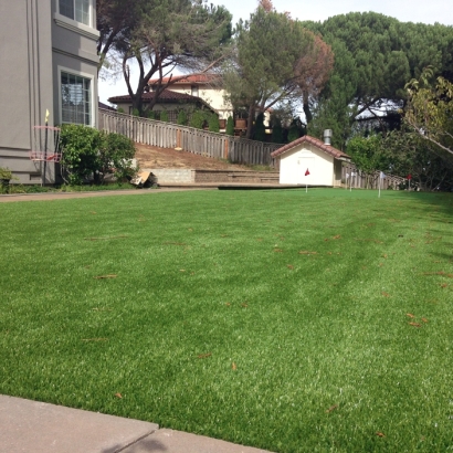 Fake Lawn La Habra Heights, California Garden Ideas, Beautiful Backyards