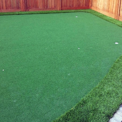 Faux Grass Oceanside, California Diy Putting Green, Backyard Garden Ideas