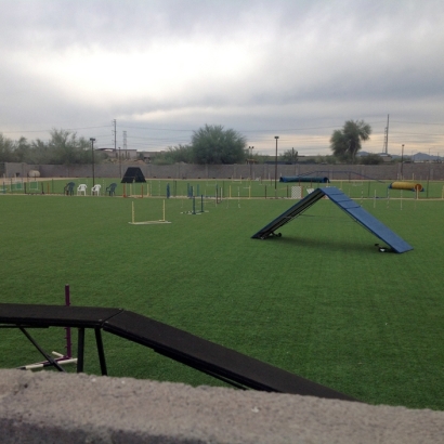 Grass Carpet Desert Hot Springs, California Soccer Fields, Parks