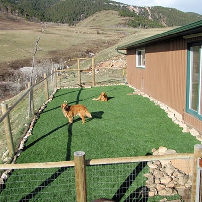 Grass Carpet La Habra Heights, California Fake Grass For Dogs, Backyard Landscaping Ideas