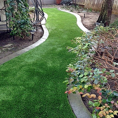 Grass Carpet Norwalk, California Landscape Design, Backyards