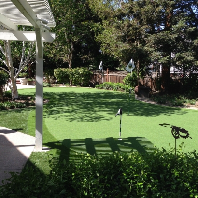 Grass Carpet San Joaquin Hills, California Home And Garden