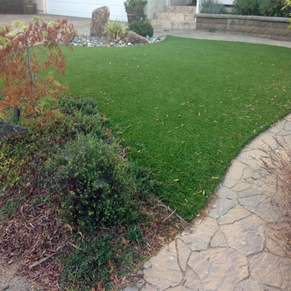 Grass Installation Yucaipa, California Artificial Turf For Dogs, Backyards