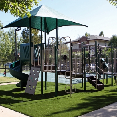 Grass Turf Avalon, California Lacrosse Playground, Recreational Areas