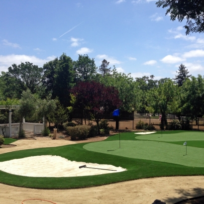 Grass Turf Covina, California Putting Green Grass, Front Yard Design