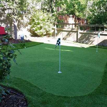 Grass Turf Los Alamitos, California Lawn And Garden, Backyard Landscape Ideas