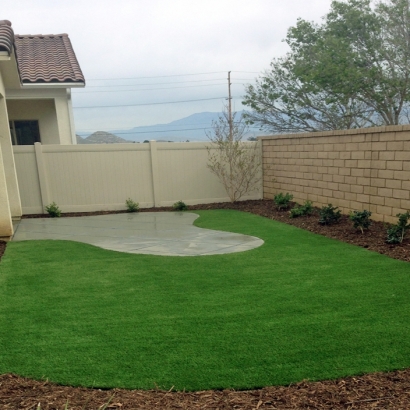 Grass Turf Walnut Park, California Design Ideas, Backyard Ideas