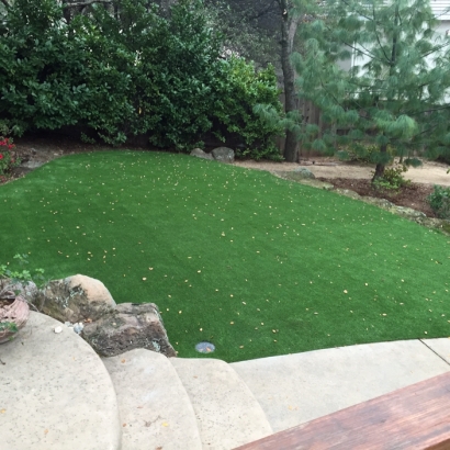 Green Lawn Pico Rivera, California Landscaping, Backyards
