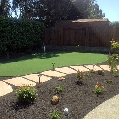 Green Lawn Rubidoux, California Office Putting Green, Backyard Landscaping Ideas