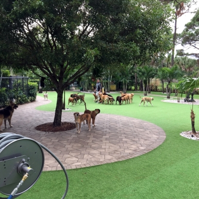 How To Install Artificial Grass Lenwood, California Cat Playground, Commercial Landscape
