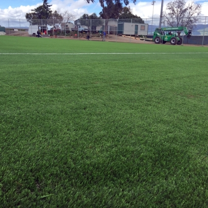 Lawn Services Lynwood, California Softball