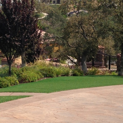 Outdoor Carpet Bell, California Lawn And Landscape, Backyards