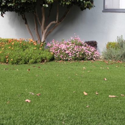 Outdoor Carpet Manhattan Beach, California Landscape Design, Landscaping Ideas For Front Yard