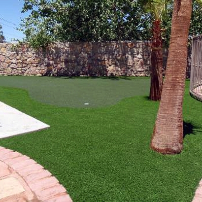 Outdoor Carpet Rolling Hills Estates, California Backyard Putting Green, Backyard Landscaping