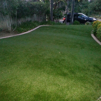 Outdoor Carpet Walnut, California Lawns, Front Yard Landscaping