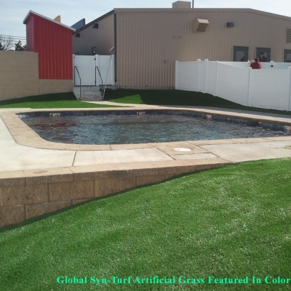 Plastic Grass Cerritos, California City Landscape, Backyard Pool