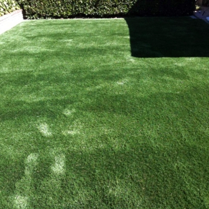 Plastic Grass La Crescenta-Montrose, California Landscaping Business, Beautiful Backyards