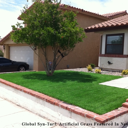 Plastic Grass Paramount, California Landscaping, Front Yard Landscape Ideas