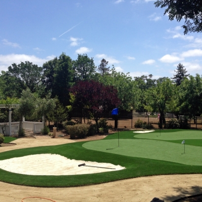 Synthetic Grass Adelanto, California City Landscape, Front Yard Landscaping Ideas