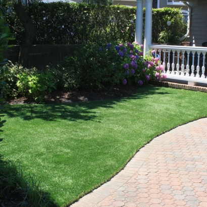 Synthetic Grass Burbank, California Backyard Deck Ideas, Front Yard Landscaping Ideas