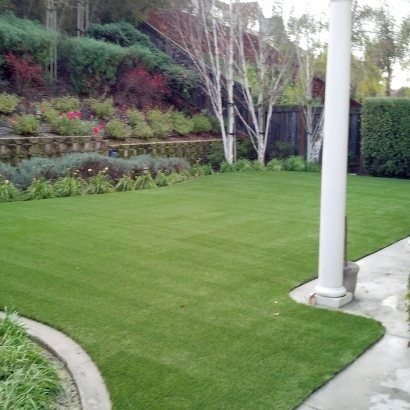 Synthetic Grass Cost Cherry Valley, California Dog Pound, Backyard Landscape Ideas