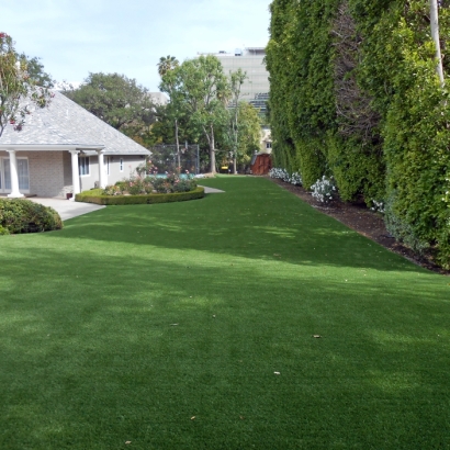 Synthetic Grass Eucalyptus Hills, California Lawn And Garden, Front Yard