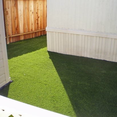 Synthetic Grass Ojai, California Artificial Grass For Dogs, Backyard Landscape Ideas