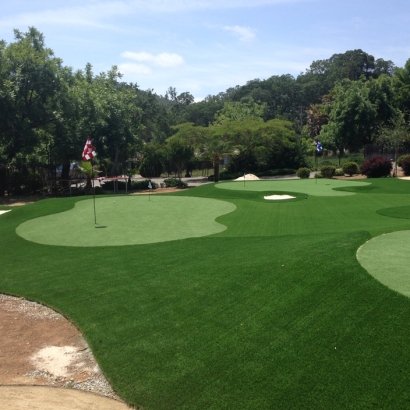 Synthetic Grass Pedley, California Backyard Playground, Front Yard Landscaping