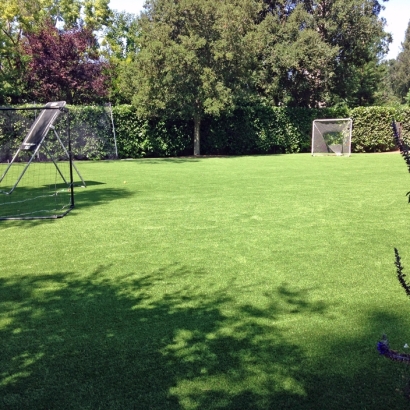 Synthetic Grass Santa Susana, California Roof Top, Backyard Landscape Ideas