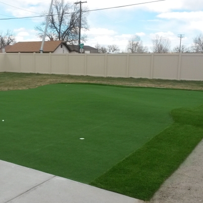 Synthetic Grass South El Monte, California Outdoor Putting Green, Backyard Landscaping