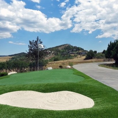 Synthetic Lawn Highgrove, California Indoor Putting Green, Front Yard Design