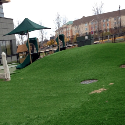 Synthetic Lawn San Antonio Heights, California Indoor Playground, Commercial Landscape
