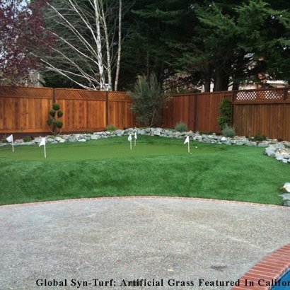 Synthetic Turf Supplier Bellflower, California Putting Green Grass, Backyard