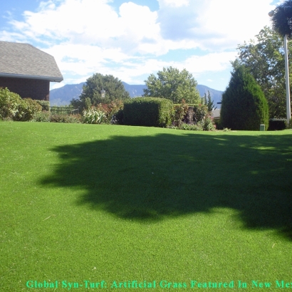 Synthetic Turf Supplier Carson, California Lawn And Landscape, Backyard Landscaping Ideas