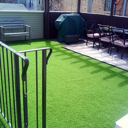 Synthetic Turf Supplier East Pasadena, California City Landscape, Backyard Garden Ideas