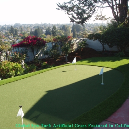 Synthetic Turf Supplier Sunset Beach, California Golf Green, Backyard Landscaping Ideas