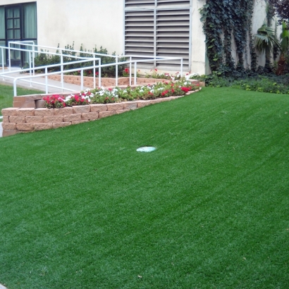 Synthetic Turf Temecula, California Golf Green, Small Front Yard Landscaping