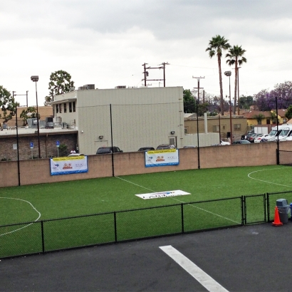 Synthetic Turf Vernon, California Backyard Sports, Commercial Landscape