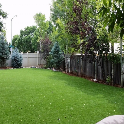 Synthetic Turf Winter Gardens, California Landscape Photos, Backyard Landscaping