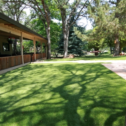 Turf Grass Carlsbad, California Dog Parks, Backyard Design