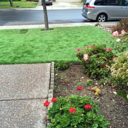 Turf Grass Encinitas, California Dog Parks, Front Yard Landscaping