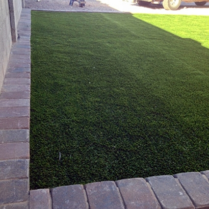 Turf Grass National City, California Backyard Playground, Front Yard Landscape Ideas